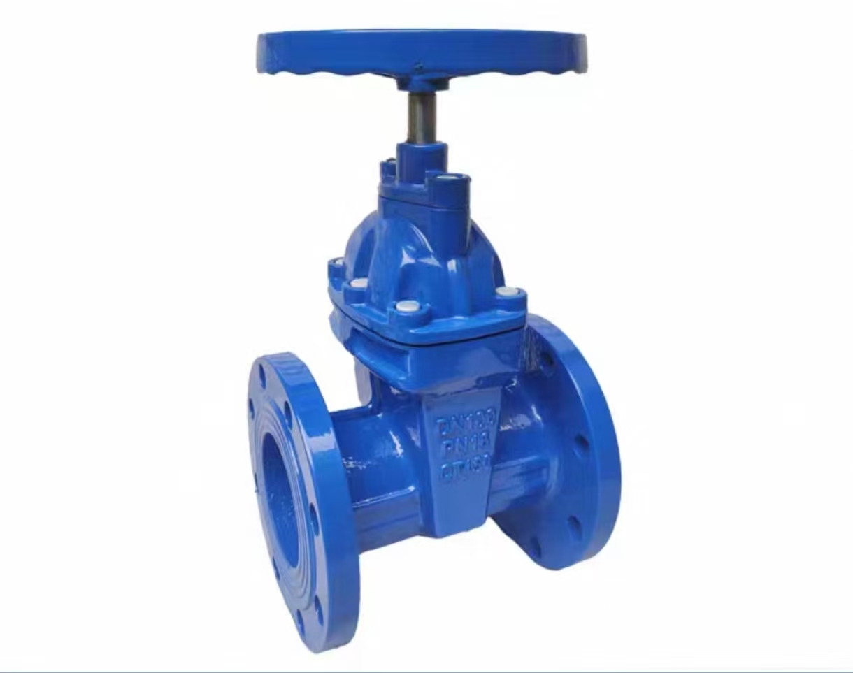 球磨铸铁软密封闸阀